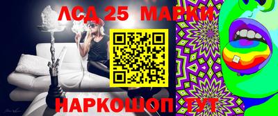 крисы Краснодар