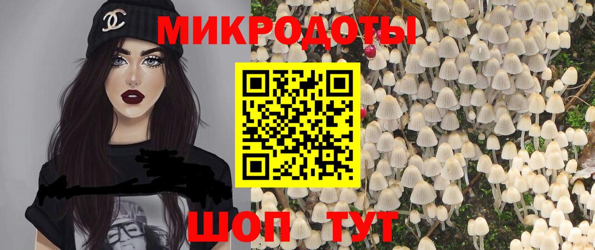 Качканар  Галлюциногенные грибы Magic Shrooms  Вход с VPN  где найти   Галлюциногенные грибы GOLDEN TEACHER 
