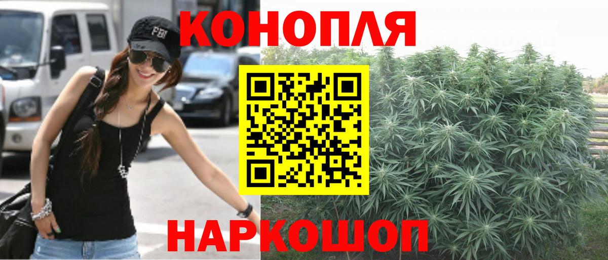 Марихуана сатива Качканар